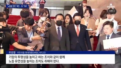 재계 달래고 민주당 압박하고…국민의힘 “노동법도 함께 처리”