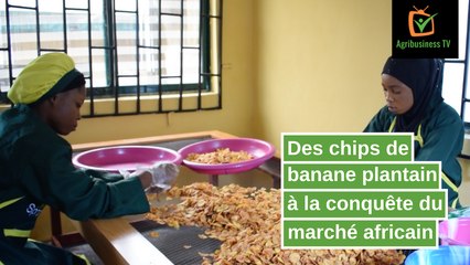 Nigéria: Des chips de banane plantain à la conquête du marché africain