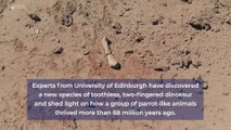 University of Edinburgh Experts discover new dinosaur in Gobi Desert