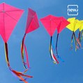 This 'Patang' Kite Museum In Ahmedabad Displays Over 100 Types Of Kites