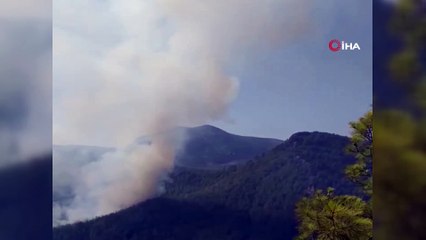 Gündoğmuş'taki yangın rüzgarın etkisiyle yayılıyor