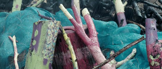 Una mujer con unas alas tremendas - Tráiler