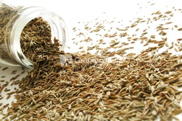 Everything You Need to Know About Cumin