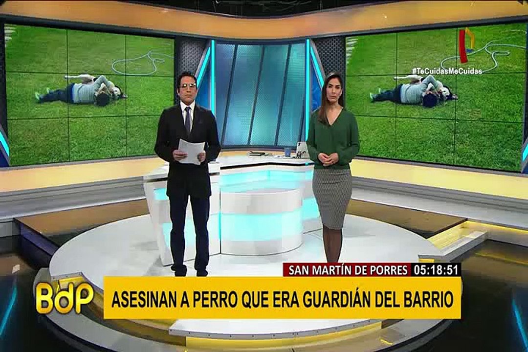 Sujeto que asesinó a puñaladas a perro guardián sigue libre