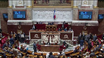 L'Assemblée nationale valide le retour controversé des néonicotinoïdes
