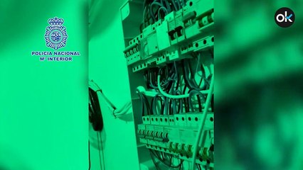 Detenida una mujer que compartía casa en Málaga con 300 plantas de marihuana