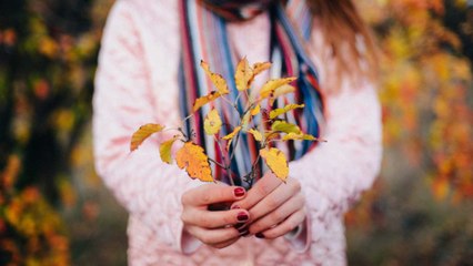 Fall Instagram Captions for Leaf Peeping, Apple Picking, and More