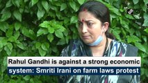 Rahul Gandhi is against a strong economic system: Smriti Irani on farm laws protest