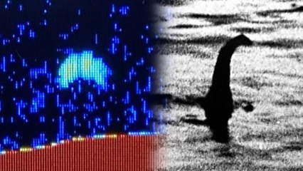 "네스호에서 10m 괴생명체 포착"...전설의 괴물 '네시'? / YTN