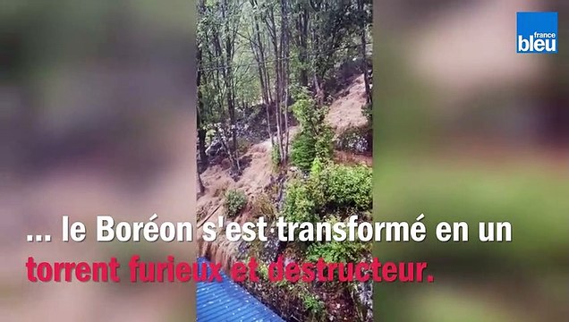 Mélanie a découvert l'un des loups du parc Alpha mort et raconte l'apocalypse