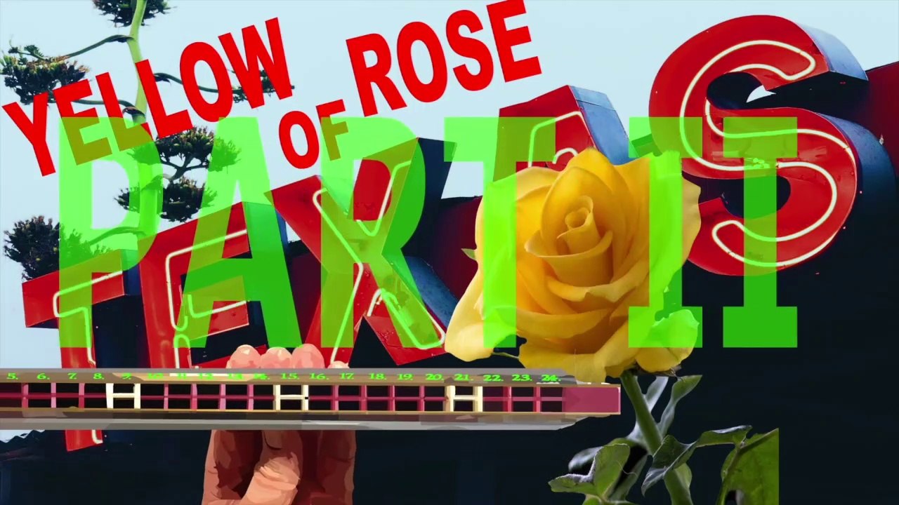 How to Play Yellow Rose of Texas on a Tremolo Harmonica with 24 Holes Part 2