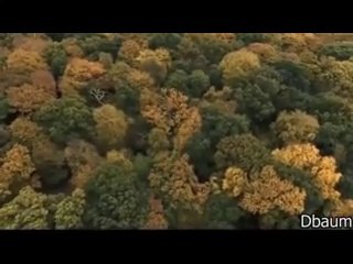 The Incredible Dr. Pol Season 18 Episode 1 Live Stream: Watch online