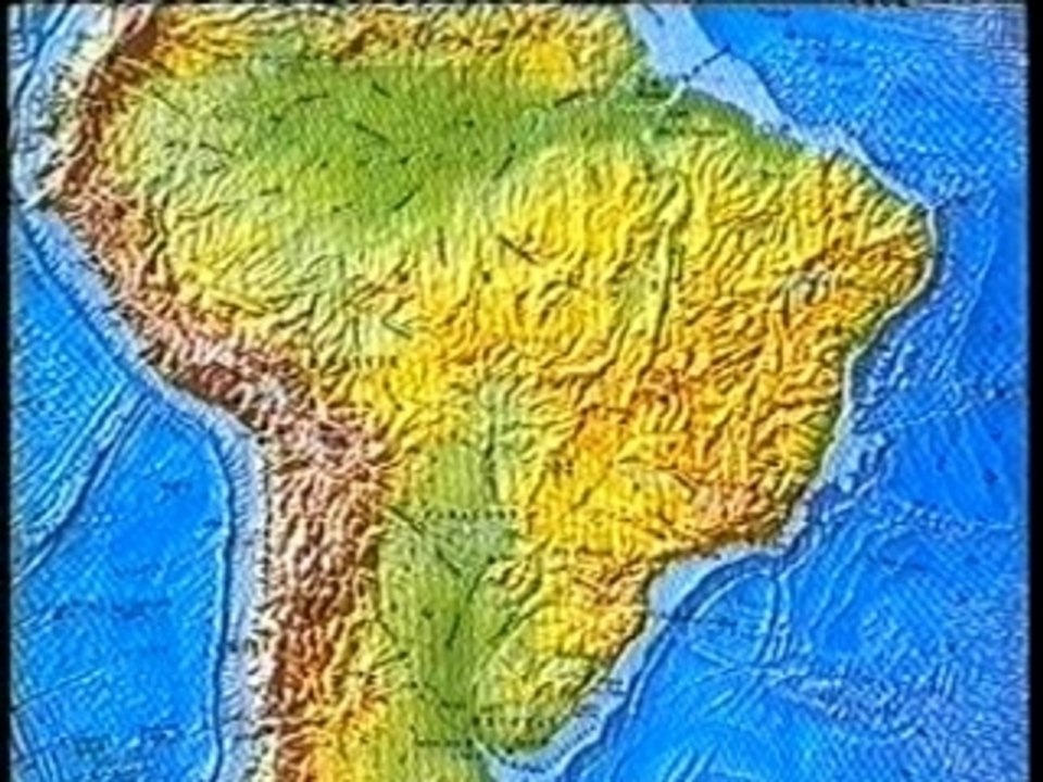 Le St Hubert et le fila brasileiro