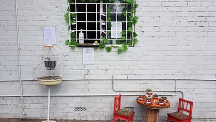 Australian Man Offers Free Coffee From Apartment Window