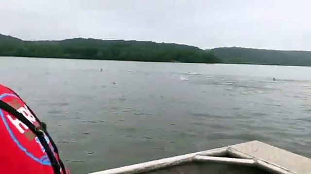 1000s of fishes jumping out of water near boat VID ID - VIDID