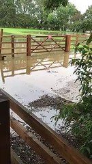 FLOOD VIDID VID ID - VIDID