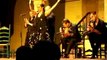 Cordoba Flamenco Espagne Espana danse cordoue baila