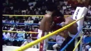Manny Pacquiao vs Dele Decierto  1995-07-01