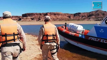 Prefectura encuentra huellas de un dinosaurio bípedo en la Patagonia