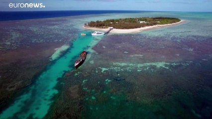 La Gran Barrera de Coral se muere