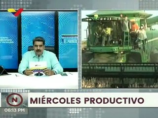 Un total de 6.800 hectáreas de soya fueron sembradas en el sector Tonoro de Monagas