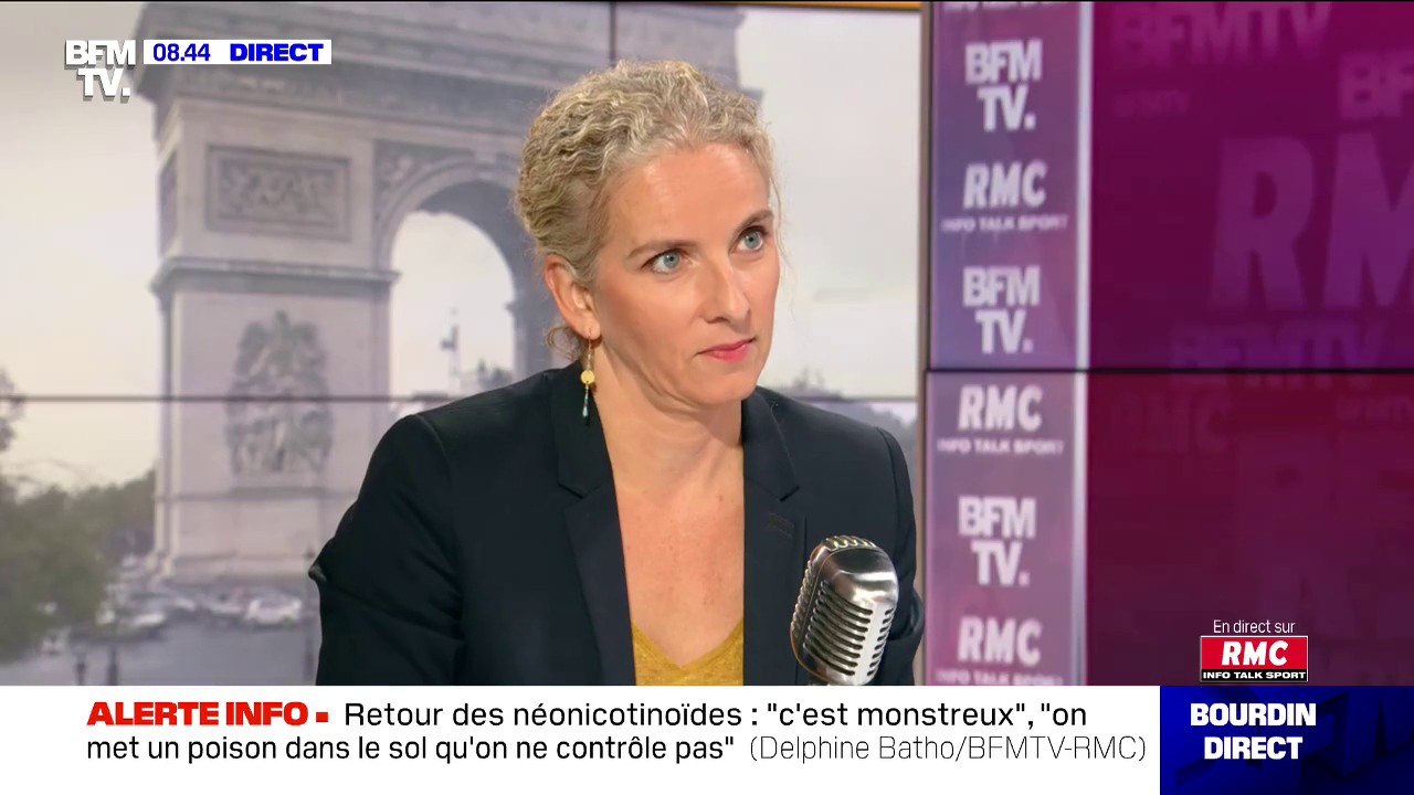 Dephine Batho demande l'interdiction de la publicité sur les SUV et les voyages en avion avec une durée de séjour de moins de 15 jours