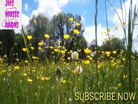 New hit haryanvi ragni rajender kharkiya