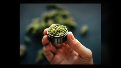 Green House Weed Store