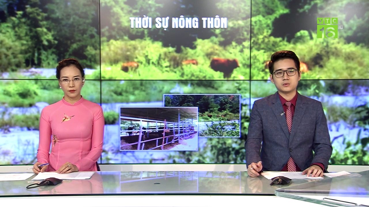 Áp thấp chồng áp thấp, miền Trung mưa lũ kéo dài | VTC16