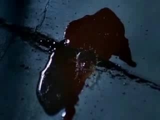 Serie tv - experts (csi) - generique0-206_10-1282