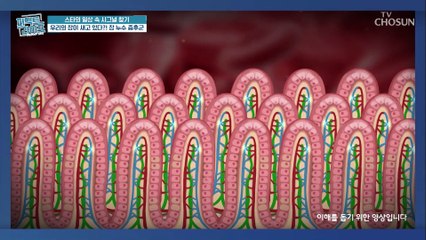 우리 몸속 ❛장❜이 건강해야 몸이 튼튼하다 #광고포함