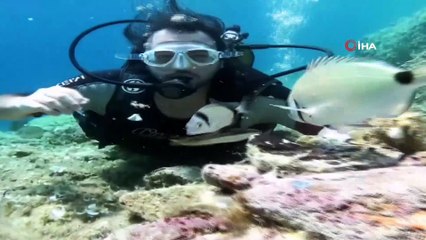 Ayvalık’ın berrak mavi suları sonbaharda ilgi çekiyor