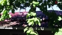 Ağaç, evinin balkonundan geçiyor: Atatürk’ten esinlendim