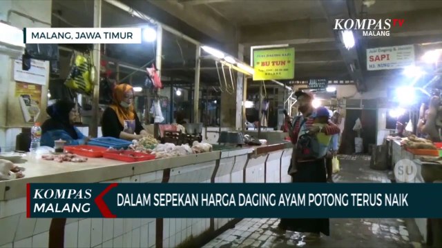 Pasokan Berkurang Harga Daging Ayam Potong Merangkak Naik