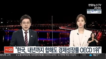 "한국, 내년까지 합해도 경제성장률 OECD 1위"