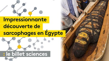 Egypte : la découverte d'une soixantaine de sarcophages parfaitement conservés tombe à pic pour le futur musée égyptien