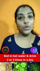 10 home remedies for Urine Infection  Ayur Vaidika  Ayurvedam