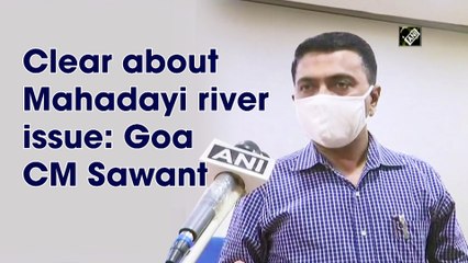 Clear about Mahadayi river issue: Goa CM Sawant