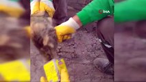 Kafası teneke kutuya sıkışan kediyi temizlik işçisi kurtardı