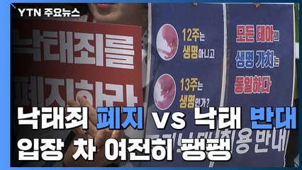 "낙태죄 폐지" vs "낙태 반대" 입장 차 여전히 팽팽 / YTN