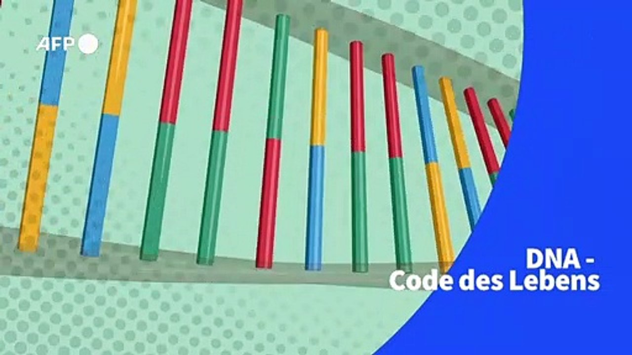 DNA – Code des Lebens