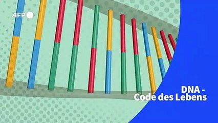 DNA – Code des Lebens