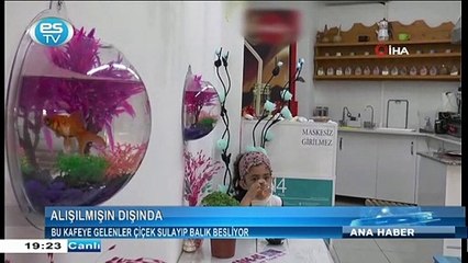 Bu kafeye gelenler çiçek sulayıp balık besliyor