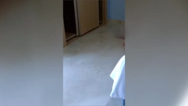 La Fiscalía ve indicios de delito en el caso de la residencia de Lliria