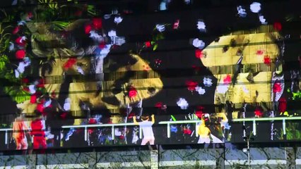 Luzes, imagens e celebrações