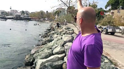 Ekim ayında temmuz sıcağını gören denize akın etti