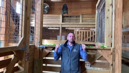 Johari & Oliver Giraffe Cam