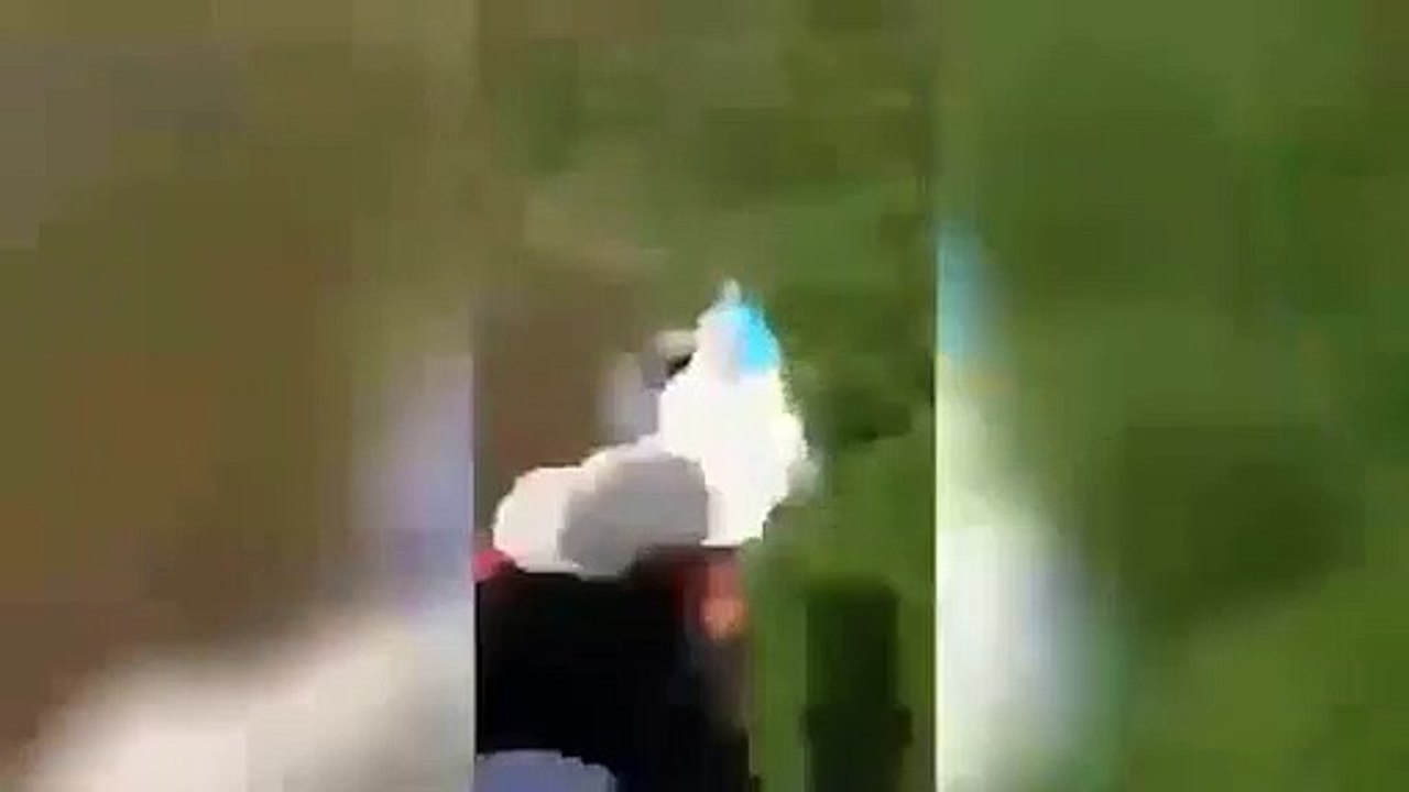 شاهد: فرس النهر يسحب طفل إلى قاع بحيرة وسط صدمة الجميع