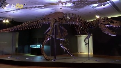 'Stan' the T.Rex Sells for $27.5 Million