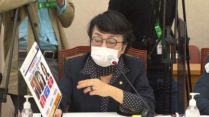 김진애 '나경원과 동기 판사 카르텔' 주장에 김인겸 "조국도 동기" / YTN